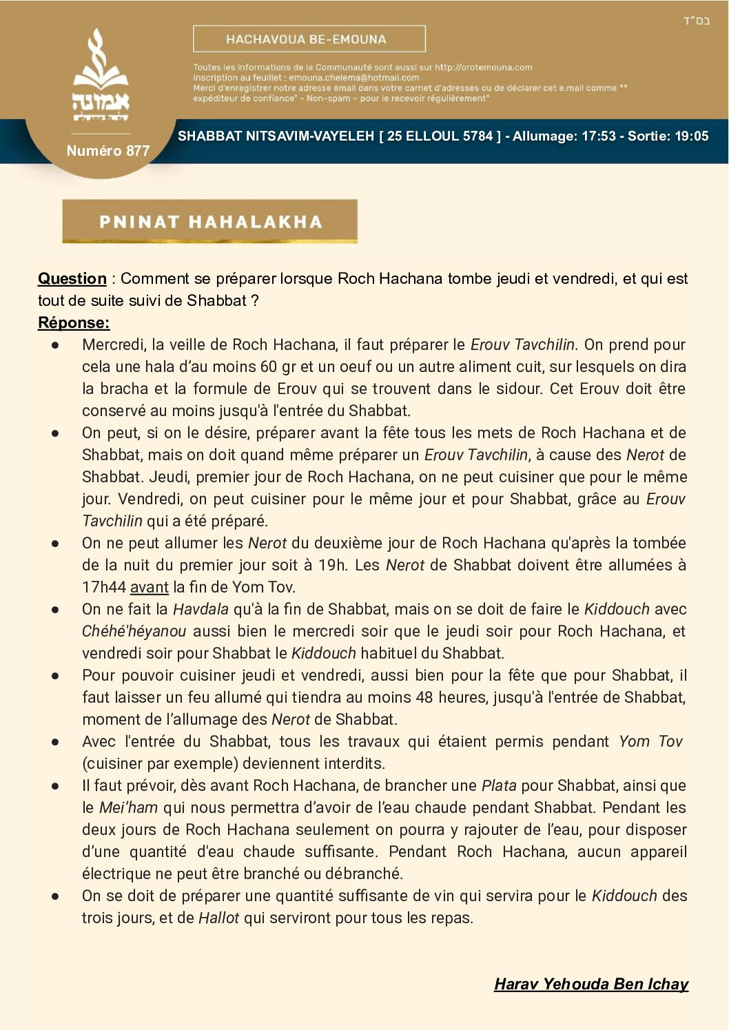 DAF_877_NITSAVIM_VAYELEH